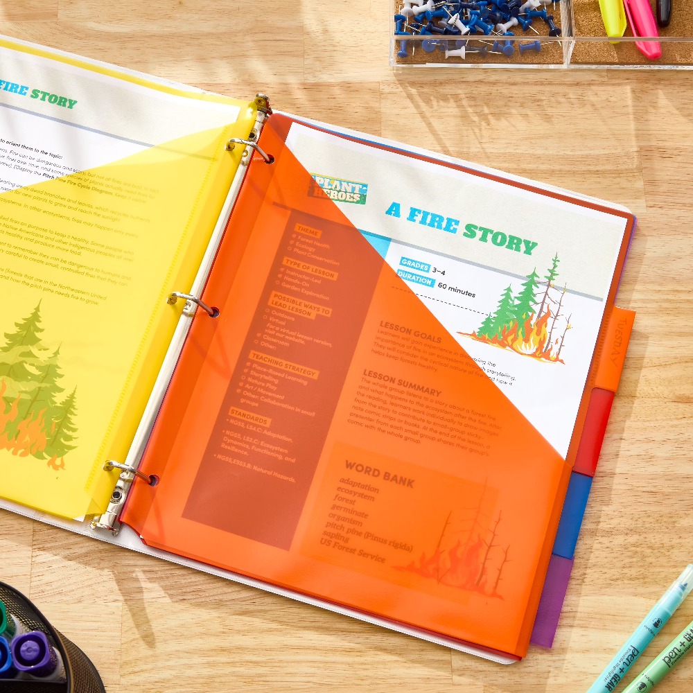 Vibrant Color Index Tab Divide - Tab Divider A4 avaliação e preço