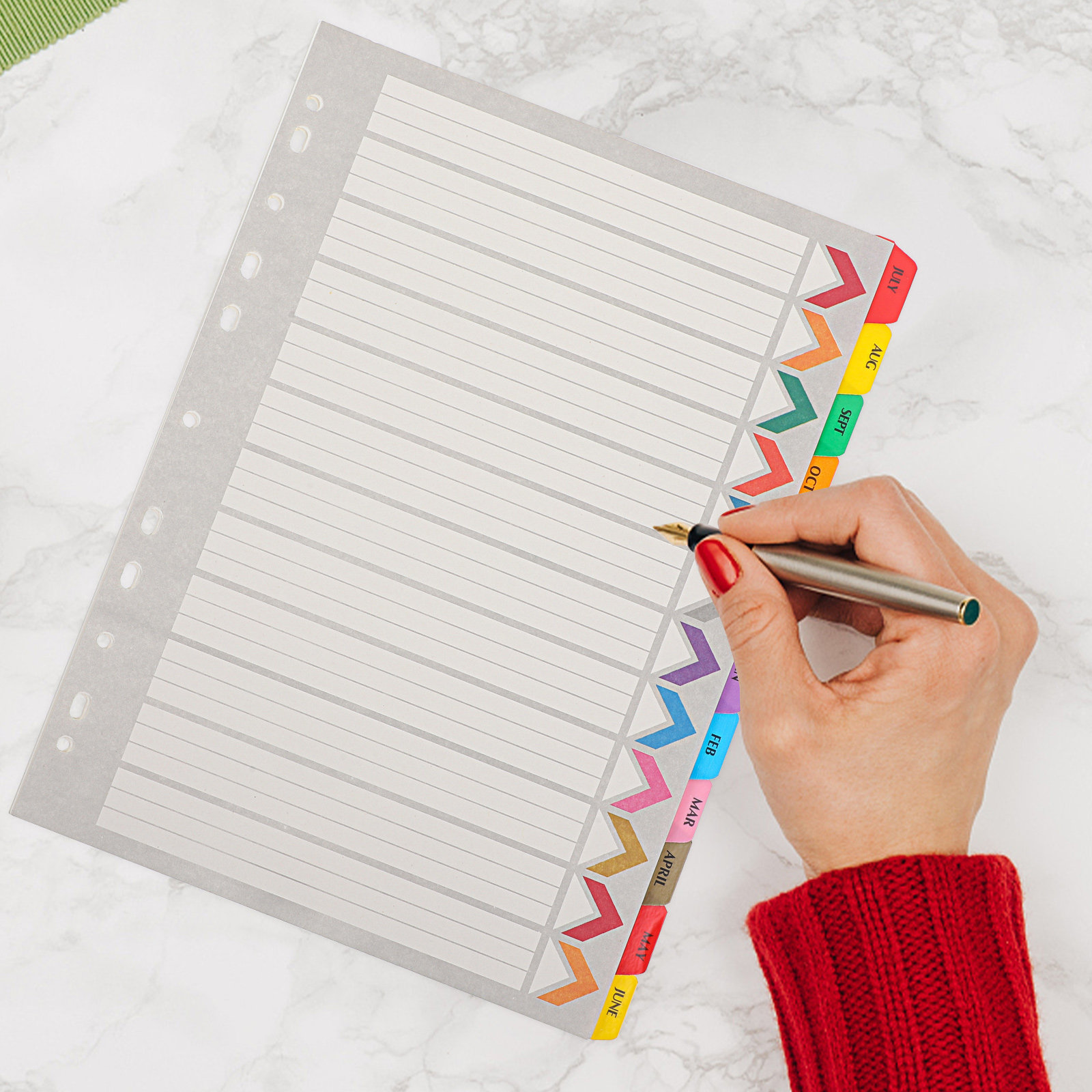 12 Sheets Thick Detachable Bin - Tab Divider A4 avaliação e preço