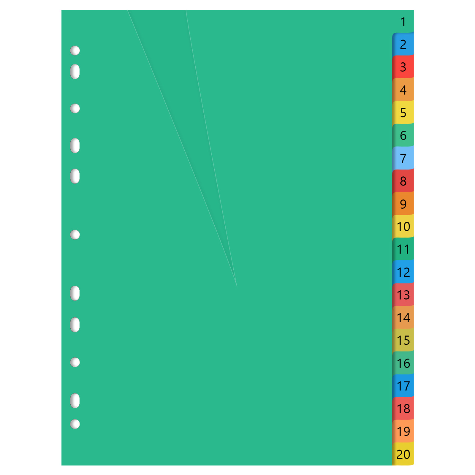 20 Pages A4 Colorful Plastic P - Tab Divider A4 avaliação e preço
