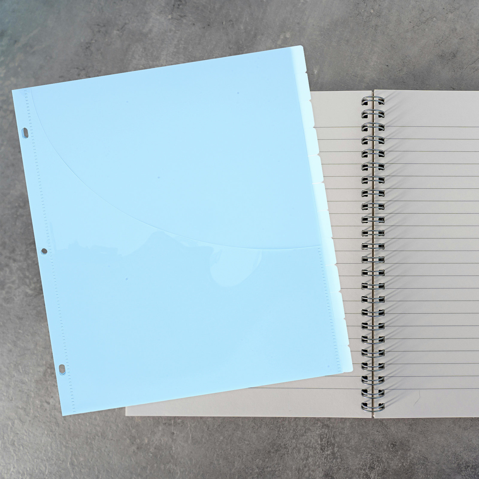 12Pcs Binder Dividers A4 Size  - Tab Divider A4 avaliação e preço